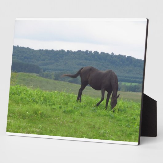 Beemdweide of Love Plaque Fotoplaat (Zijkant)