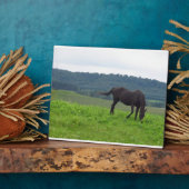 Beemdweide of Love Plaque Fotoplaat (Zijkant)