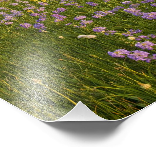 Beemdweide van wilde flora en fauna in de 2 foto afdruk (Hoek)