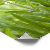 Beemdweide van wilde flora en fauna in de poster (Hoek)