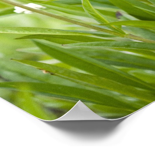 Beemdweide van wilde flora en fauna in de poster (Hoek)