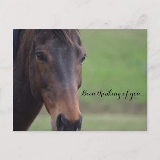 Been thinking of you... briefkaart (Voorkant)