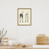 Beenbeen Skeletspier Anatomie Afdrukken Poster (Keuken)