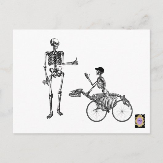 beenpapa briefkaart (Voorkant)