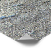 Beep Beep Roadrunner Poster (Hoek)