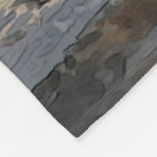 Beer20150804 Fleece Deken (Hoek)