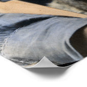 Beer 1898 Vintage linksboven Poster (Hoek)