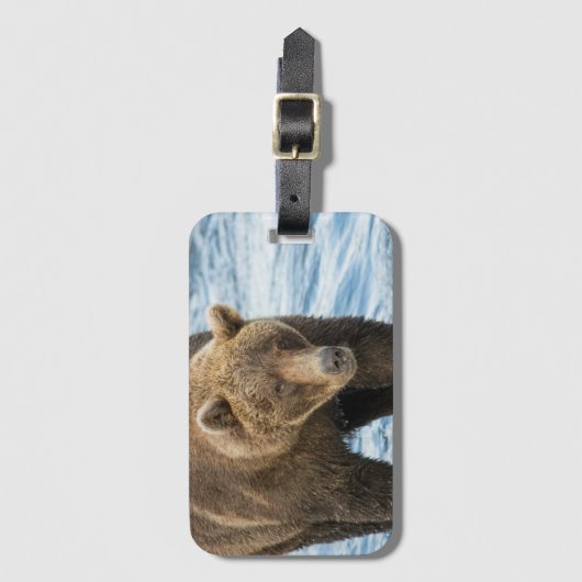 Beer 503 Bagagelabel (Voorkant (verticaal))