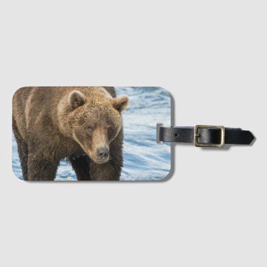 Beer 503 Bagagelabel (Voorkant (horizontaal))