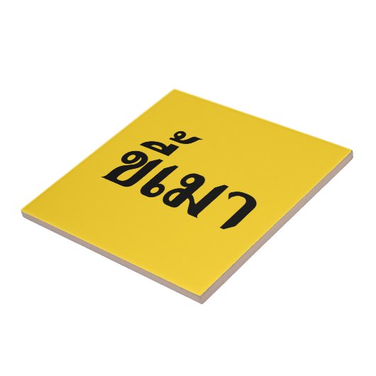 Beer Addict Kee Mao in Thai Language Tegeltje (Zijkant)