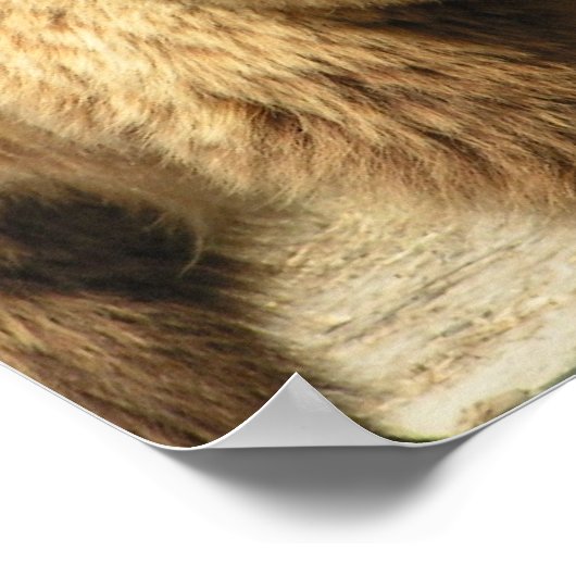 Beer afdrukken poster (Hoek)