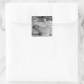  beer Alaska polair 1970 Vierkante Sticker (Tas)