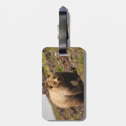 beer bagagelabel (Achterkant verticaal)