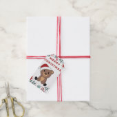 Beer Beer kerstwinterdieren - Label Cadeaulabel (Met Touw)