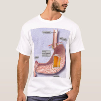 Beer Belly T-shirt