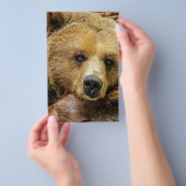 Beer beren dier aangepast jubileum flyer (Hand)