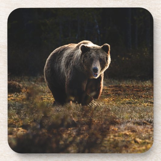 Beer Beverage Coaster Bier Onderzetter (Voorkant)