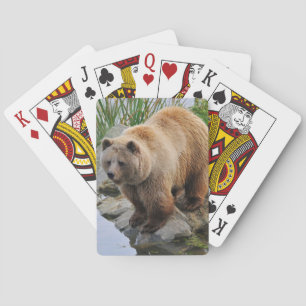 Beer bij een meer pokerkaarten