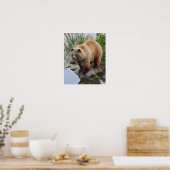 Beer bij een meer poster (Keuken)