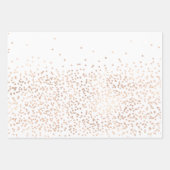 Beer & Bij Eerste Verjaardag Inpakpapier Vel (Voorkant 2)