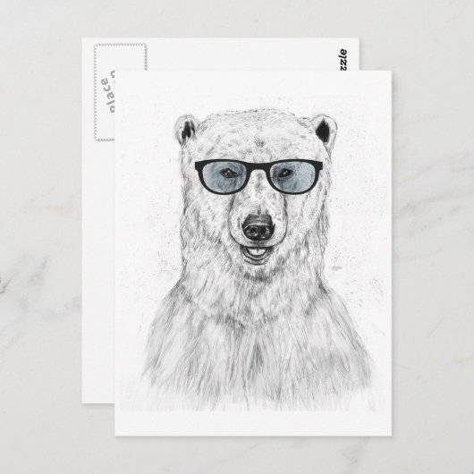 Beer (blauw) briefkaart (Voorkant / Achterkant)