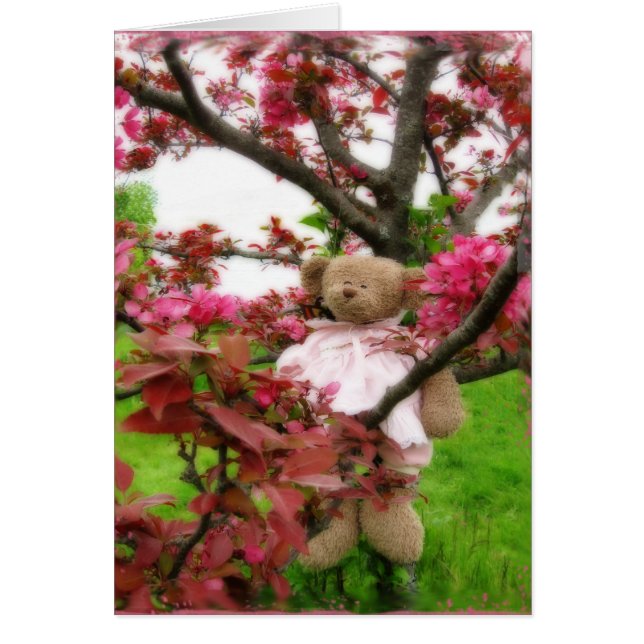 Beer bloesems (Voorkant)