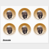 Beer Bos Bomen Rond Retouradres Ronde Sticker (Vel)