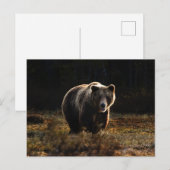 Beer Briefkaart (Voorkant / Achterkant)