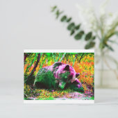 Beer Briefkaart (Staand voorkant)