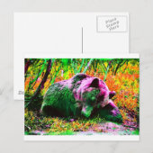 Beer Briefkaart (Voorkant / Achterkant)