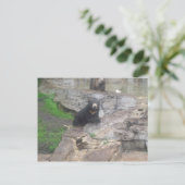 beer briefkaart (Staand voorkant)