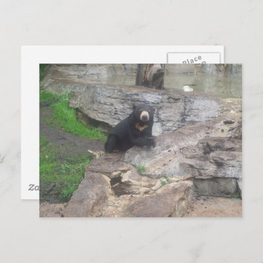 beer briefkaart (Voorkant / Achterkant)