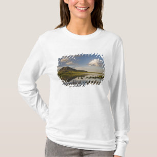 Beer Butte reflecteert het Beer Butte Lake nabij T-shirt