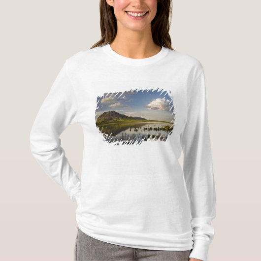 Beer Butte reflecteert het Beer Butte Lake nabij T-shirt (Voorkant)