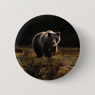 Beer Button