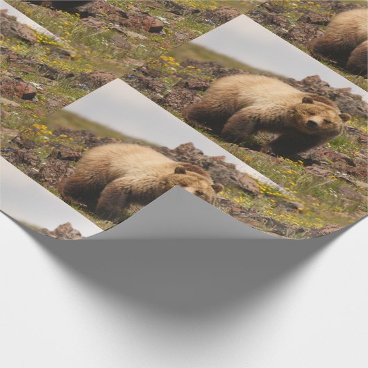 beer cadeaupapier (Hoek)