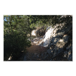 Beer Canyon Campground Foto Afdruk
