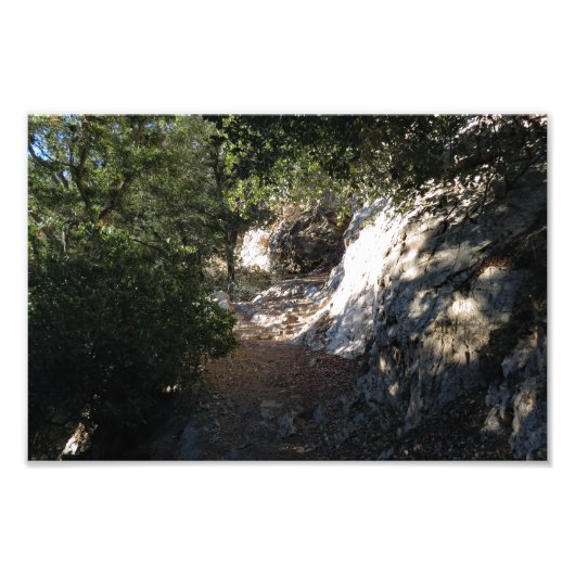 Beer Canyon Campground Foto Afdruk (Voorkant)