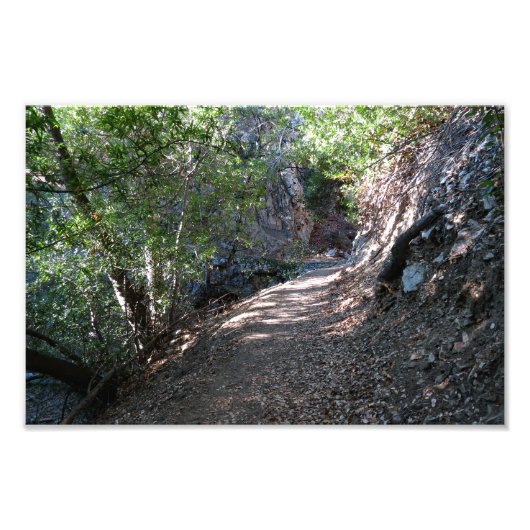 Beer Canyon Campground Foto Afdruk (Voorkant)