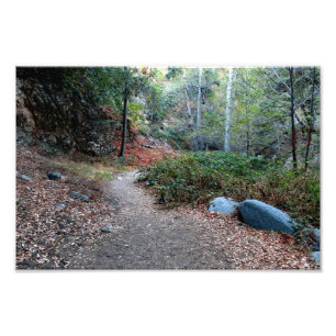 Beer Canyon Campground Foto Afdruk