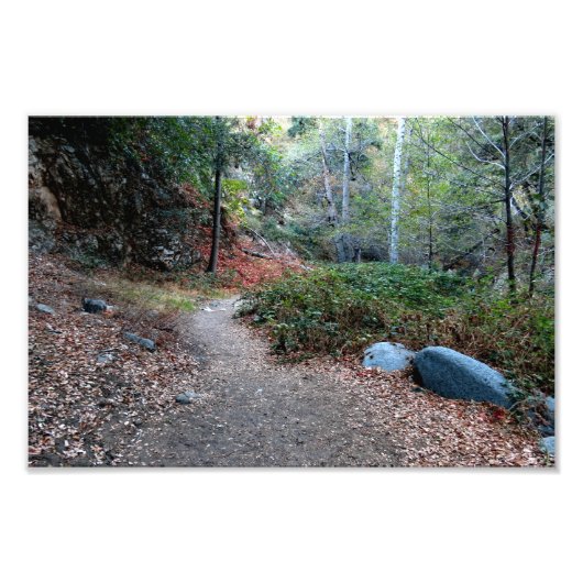 Beer Canyon Campground Foto Afdruk (Voorkant)