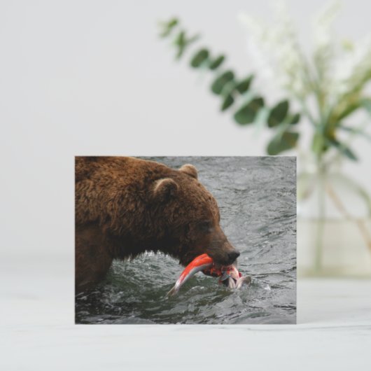 Beer close-up, Brooks Herfsten Alaska Briefkaart (Staand voorkant)