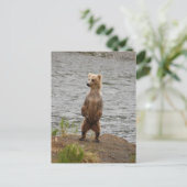 Beer close-up, Brooks Herfsten Alaska Briefkaart (Staand voorkant)