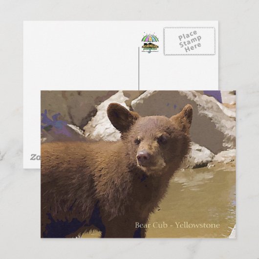 Beer Cub, geelsteen Briefkaart (Voorkant / Achterkant)