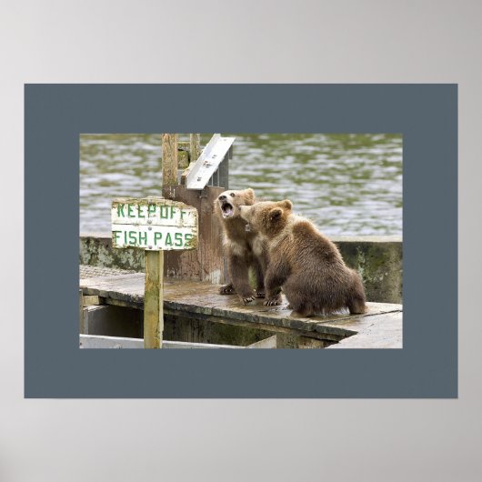 Beer Cubs Keepsake Herinneringen houden van Destin Poster (Voorkant)