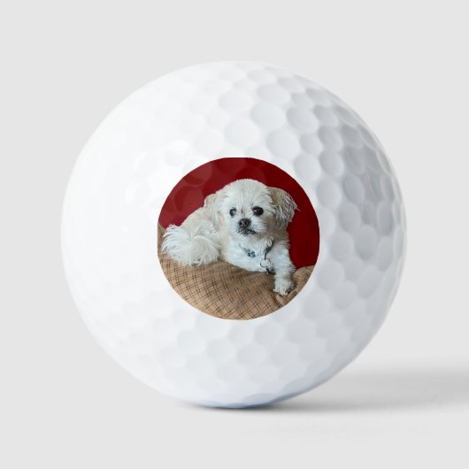 Beer de Malshi Golfballen (Voorkant)
