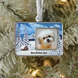 Beer de Malshi Winter WonderOrnament Verzilverd Omlijst Ornament