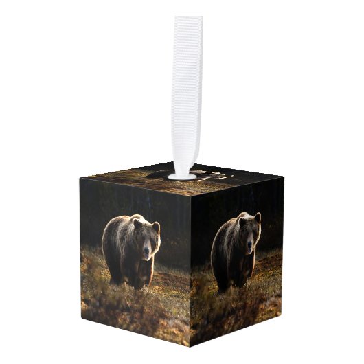 Beer Decoratie (Voorkant hoekig)