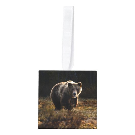 Beer Decoratie (Voorkant)