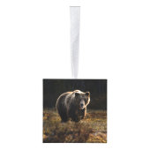 Beer Decoratie (Rechts)